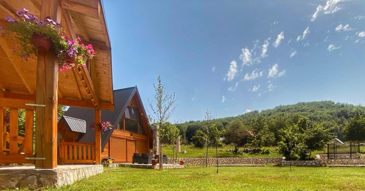 Albero Casa Vila Cetinje Exterior foto