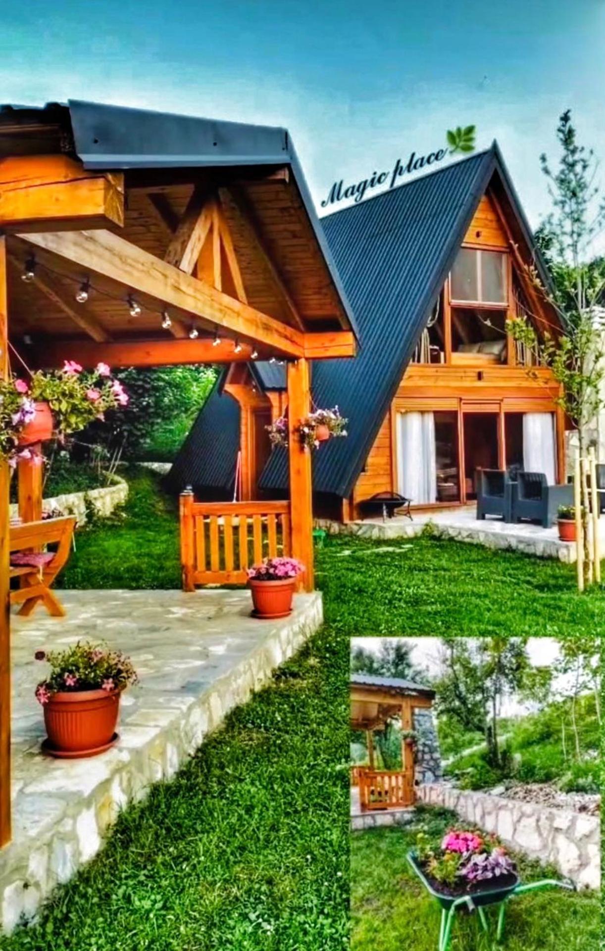 Albero Casa Vila Cetinje Exterior foto