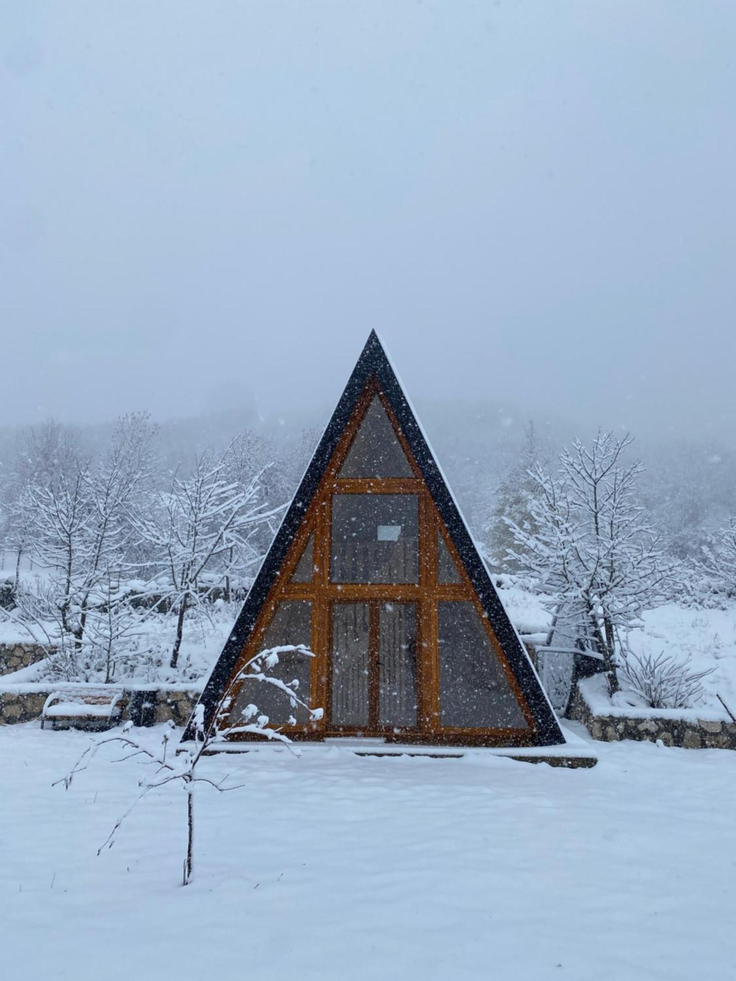 Albero Casa Vila Cetinje Exterior foto