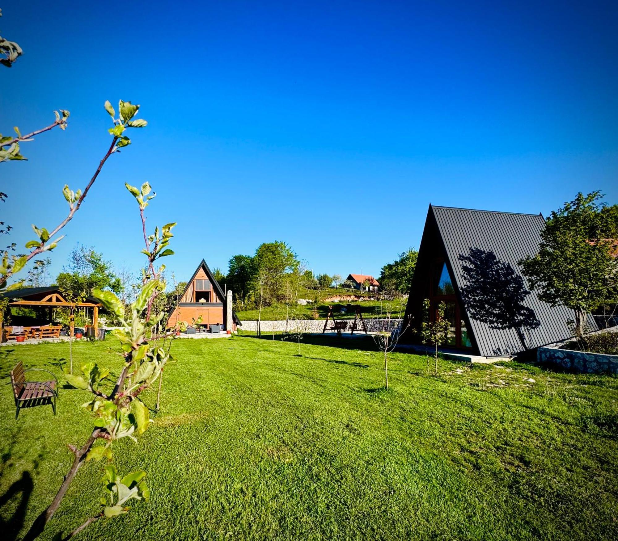 Albero Casa Vila Cetinje Exterior foto