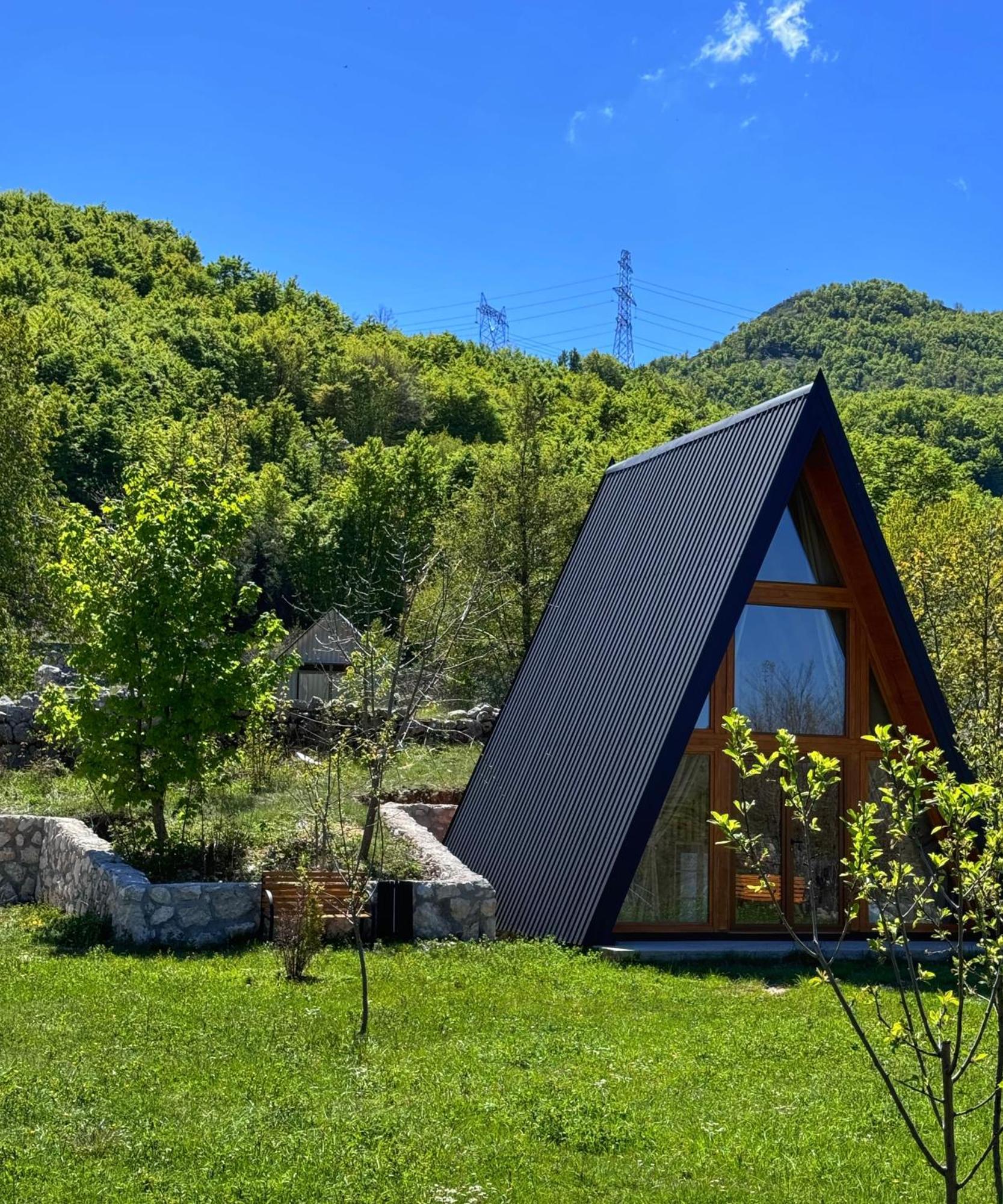 Albero Casa Vila Cetinje Exterior foto