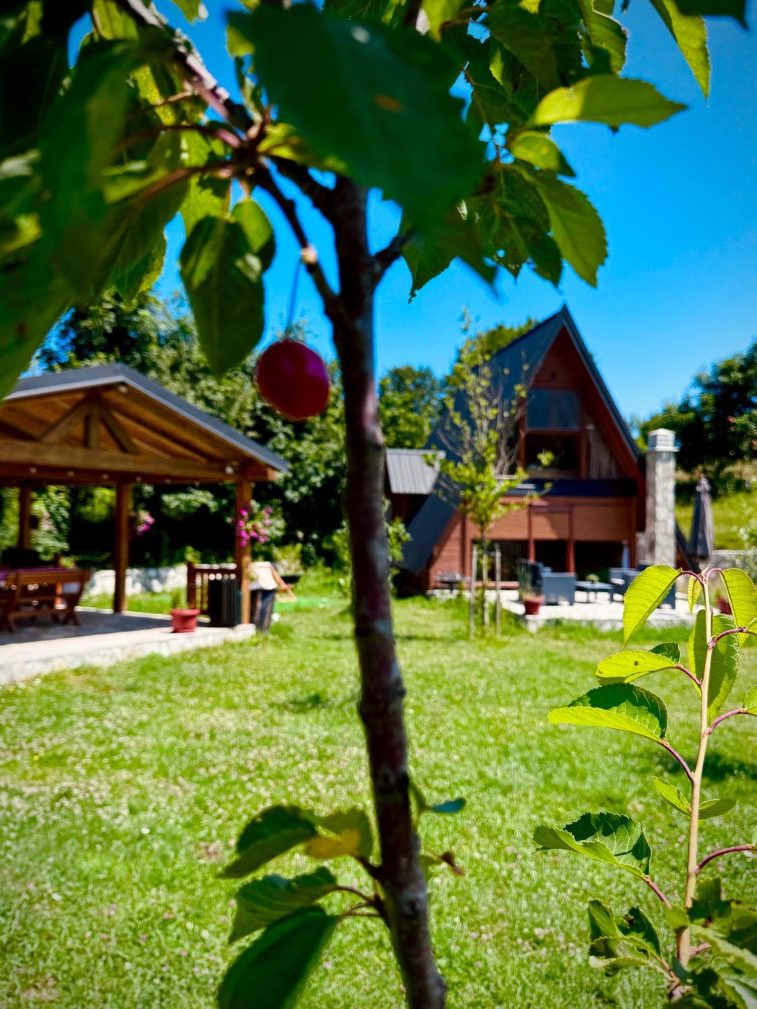 Albero Casa Vila Cetinje Exterior foto