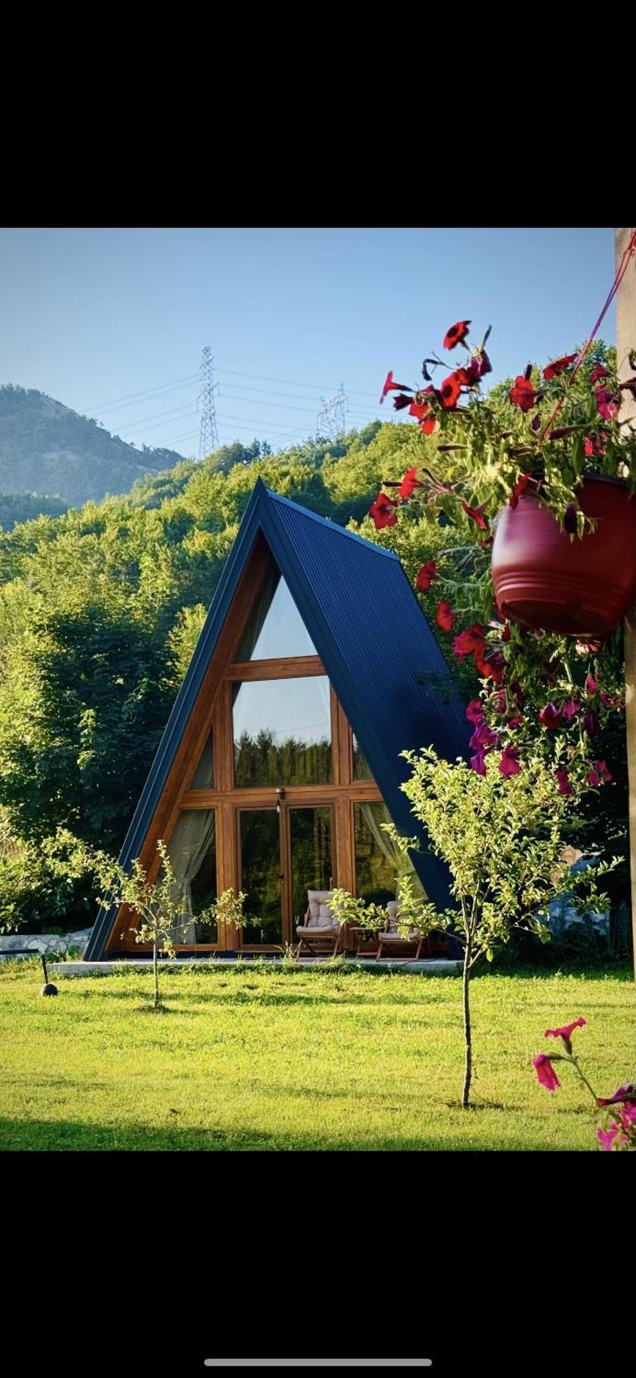 Albero Casa Vila Cetinje Exterior foto